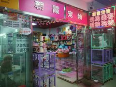 -花鸟鱼古玩市场