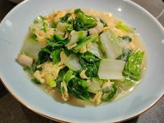 -前海沿·青岛菜(大拇指广场石老人店)