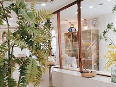 -共舞时光猫咖·狗咖(新街口店)
