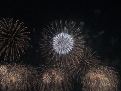 -台场海滨公园船码头