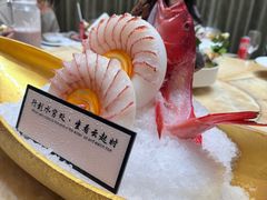 -海鲨湾海鲜会馆(百家湖1912店)