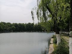 -东湖听涛景区