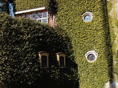 -三鹰之森吉卜力美术馆