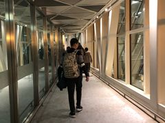-盖达尔·阿利耶夫国际机场