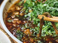 -范记豆花庄(东门好吃街店)