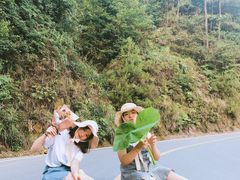 -铁山坪森林公园