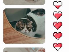 -啵啵喵·猫咖(攀华国际店)
