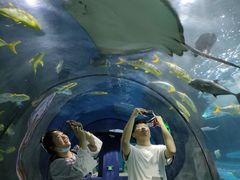 -福州罗源湾海洋世界旅游区