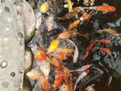 -上海大自然野生昆虫馆(东方明珠·爬宠昆虫探索中心)