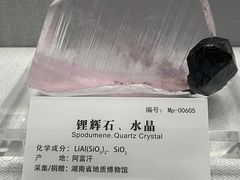 -湖南省地质博物馆