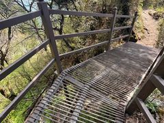 -王顺山国家森林公园