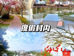 -南丹山森林王国