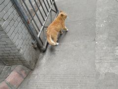 -宫廷糕点铺