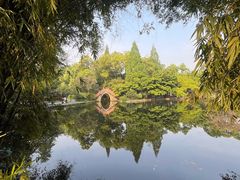 -棠湖公园