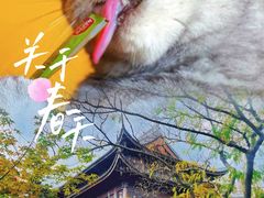 -龙华寺