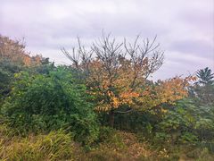 -金堂县云顶石城风景区