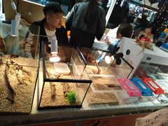 -证大大拇指广场(芳甸路店)