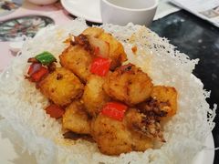 -新兴·金羊座·粤菜点心(乐峰店)