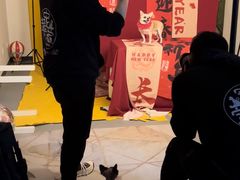 -超宠爱宠物摄影-Super pet