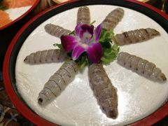 -草鱼先生潮州鱼生·虾生(新厦花园店)
