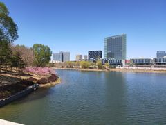 -大兴滨河森林公园