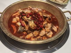 -涿派·炝锅鱼(涿州店)