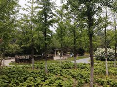 -东郊湿地公园