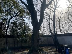 -上海佘山国家森林公园天马山园