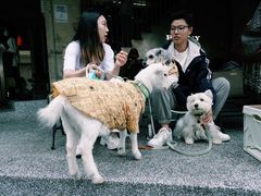 -安福路