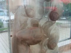 -月亮河温泉度假酒店