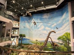 -辽宁古生物博物馆
