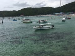 -月光岛