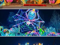 -淄博花灯齐彩城