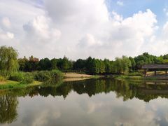 -尚贤河湿地