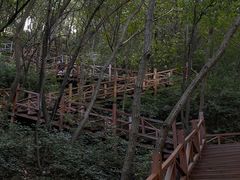 -大岭沟猕猴桃谷风景区