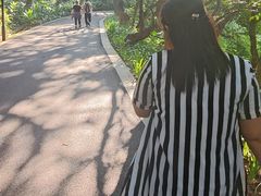 -中山市树木园