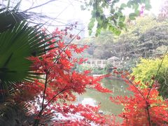 -两江幸福广场