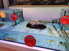 水产区-日进一片海.生腌海鲜火锅.宵夜烧烤(三里屯总店)