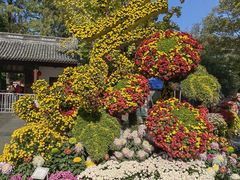 -汇龙潭