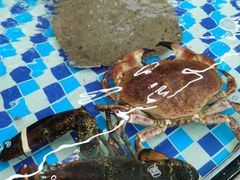 -87号烧烤海鲜·大排档(金沙滩店)