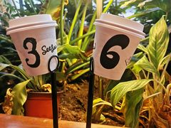 -Seesaw Coffee(朝阳大悦城店)