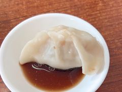 -启子大馅饺子