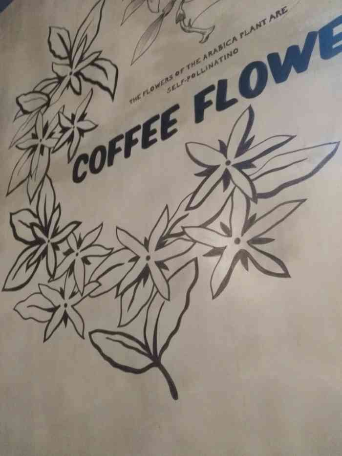 luckincoffee瑞幸咖啡(中渝国宾城店)-"新出的奇亚籽司康 和巧克力