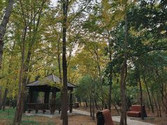 -塘沽森林公园