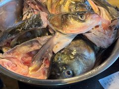 -花鲢鱼头火锅(春城东路店)