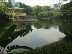 景点-晓港公园
