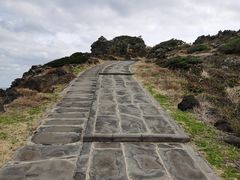 -涉地可支