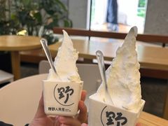 -野人先生Gelato(上海长宁龙之梦店)