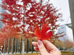 -梨花牛肉汤饭(仁恒伊势丹店)