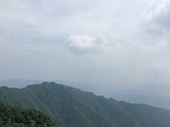 -王顺山国家森林公园